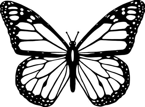 cartoon butterfly black and white|More.